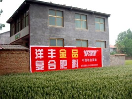 永平如何让墙体广告展现最大化效果