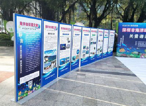 永平KT板的种类和知识。